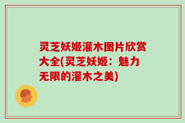 灵芝妖姬灌木图片欣赏大全(灵芝妖姬：魅力无限的灌木之美)