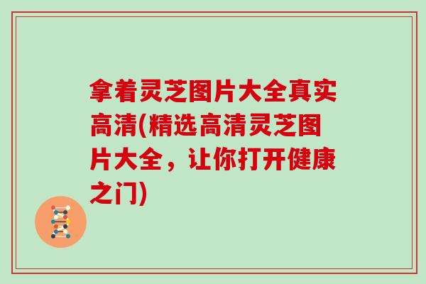 拿着灵芝图片大全真实高清(精选高清灵芝图片大全，让你打开健康之门)