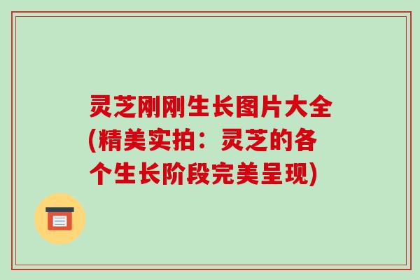 灵芝刚刚生长图片大全(精美实拍：灵芝的各个生长阶段完美呈现)