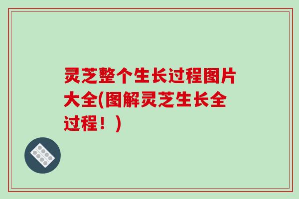 灵芝整个生长过程图片大全(图解灵芝生长全过程!)