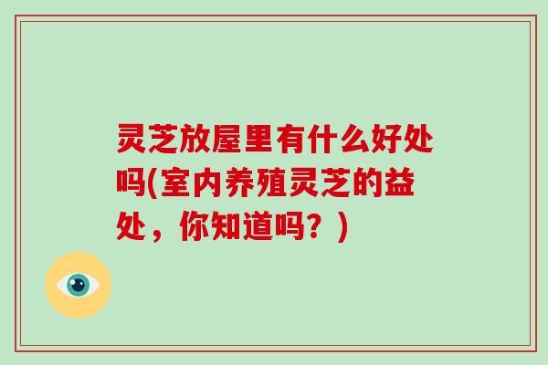 灵芝放屋里有什么好处吗(室内养殖灵芝的益处,你知道吗?)