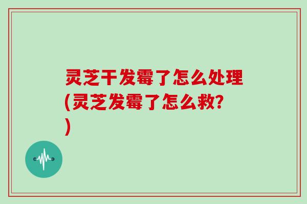 灵芝干发霉了怎么处理(灵芝发霉了怎么救?)