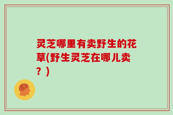 灵芝哪里有卖野生的花草(野生灵芝在哪儿卖?)