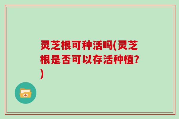 灵芝根可种活吗(灵芝根是否可以存活种植？)