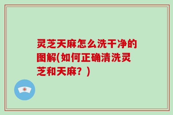 灵芝天麻怎么洗干净的图解(如何正确清洗灵芝和天麻?)