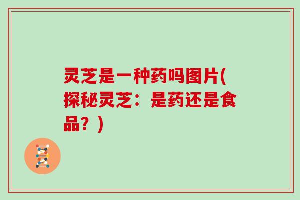 灵芝是一种药吗图片(探秘灵芝:是药还是食品?)