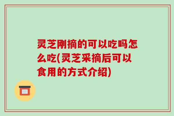 灵芝刚摘的可以吃吗怎么吃(灵芝采摘后可以食用的方式介绍)
