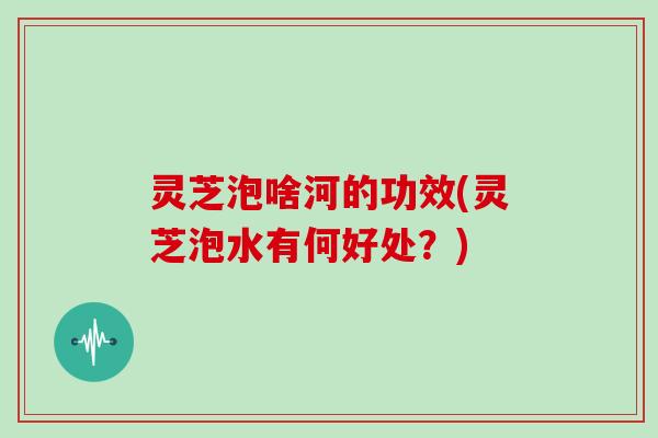 灵芝泡啥河的功效(灵芝泡水有何好处?)