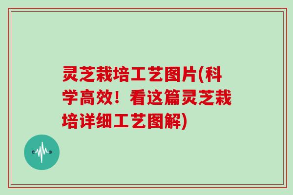 灵芝栽培工艺图片(科学高效!看这篇灵芝栽培详细工艺图解)