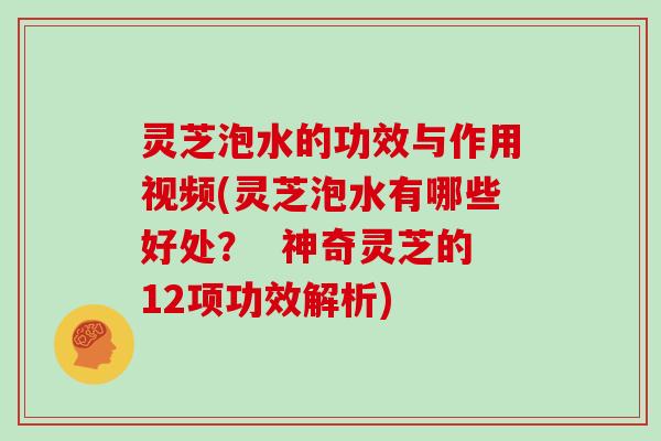 灵芝泡水的功效与作用视频(灵芝泡水有哪些好处? 神奇灵芝的12项功效解析)