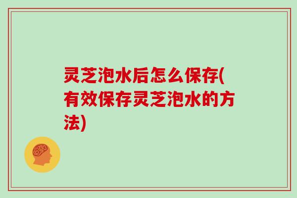 灵芝泡水后怎么保存(有效保存灵芝泡水的方法)
