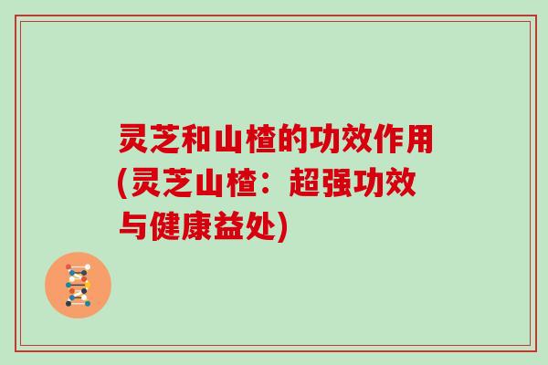 灵芝和山楂的功效作用(灵芝山楂:超强功效与健康益处)