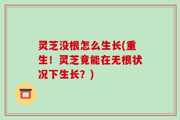 灵芝没根怎么生长(重生！灵芝竟能在无根状况下生长？)