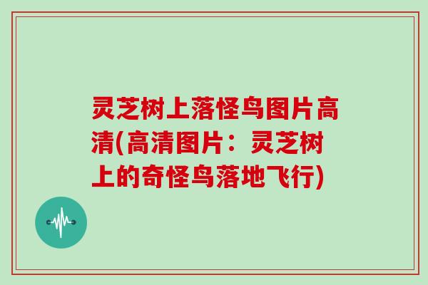 灵芝树上落怪鸟图片高清(高清图片：灵芝树上的奇怪鸟落地飞行)