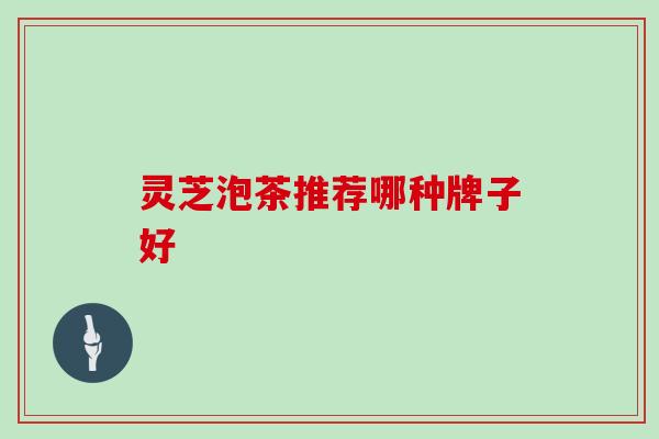 灵芝泡茶推荐哪种牌子好