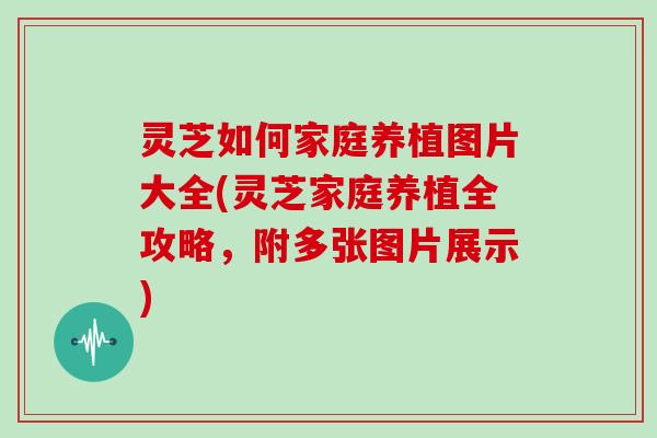 灵芝如何家庭养植图片大全(灵芝家庭养植全攻略，附多张图片展示)