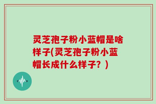 灵芝孢子粉小蓝帽是啥样子(灵芝孢子粉小蓝帽长成什么样子？)