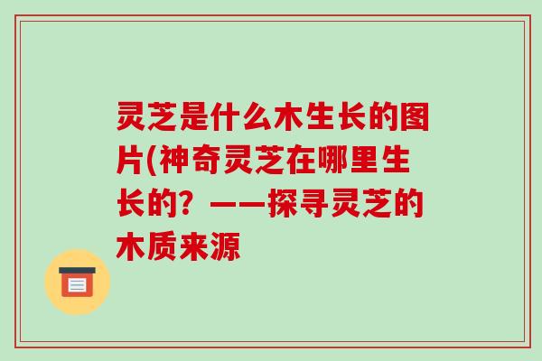 灵芝是什么木生长的图片(神奇灵芝在哪里生长的?——探寻灵芝的木质来源