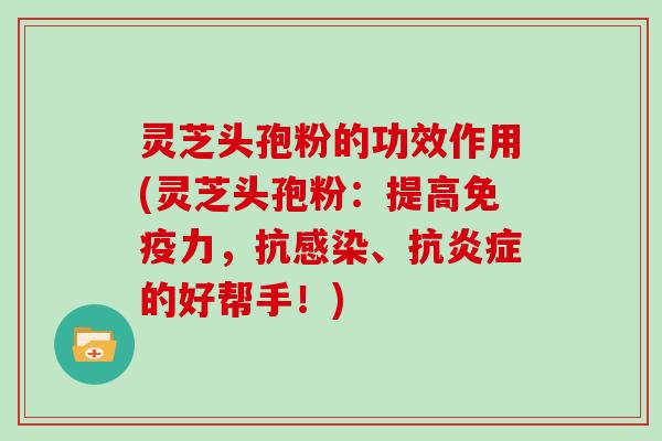 灵芝头孢粉的功效作用(灵芝头孢粉:提高免疫力,抗感染、抗炎症的好帮手!)