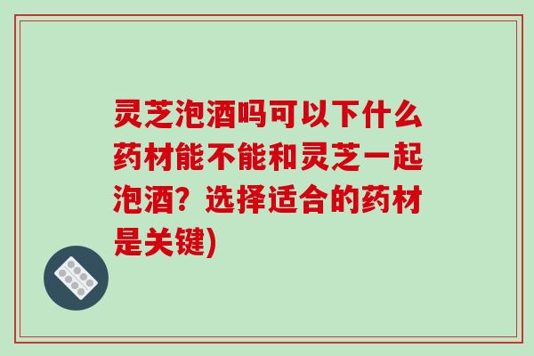 灵芝泡酒吗可以下什么药材能不能和灵芝一起泡酒?选择适合的药材是关键)