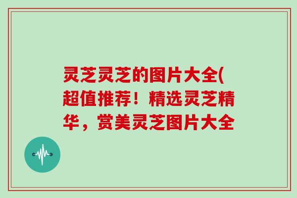灵芝灵芝的图片大全(超值推荐!精选灵芝精华,赏美灵芝图片大全