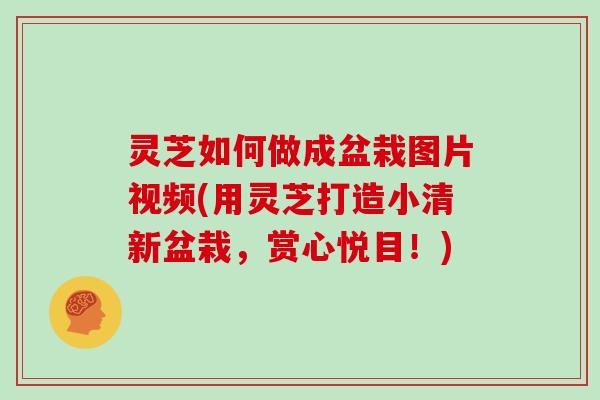 灵芝如何做成盆栽图片视频(用灵芝打造小清新盆栽,赏心悦目!)