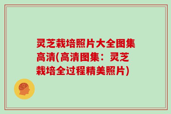 灵芝栽培照片大全图集高清(高清图集:灵芝栽培全过程精美照片)