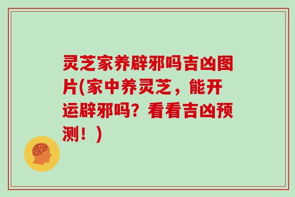 灵芝家养辟邪吗吉凶图片(家中养灵芝，能开运辟邪吗？看看吉凶预测！)