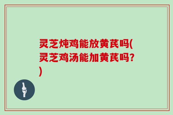 灵芝炖鸡能放黄芪吗(灵芝鸡汤能加黄芪吗?)
