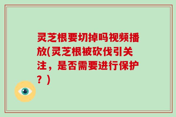 灵芝根要切掉吗视频播放(灵芝根被砍伐引关注,是否需要进行保护?)