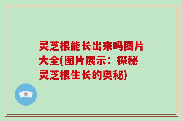 灵芝根能长出来吗图片大全(图片展示：探秘灵芝根生长的奥秘)