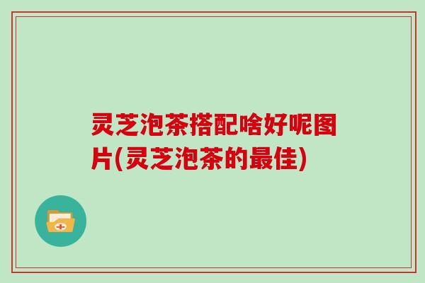 灵芝泡茶搭配啥好呢图片(灵芝泡茶的最佳)