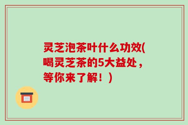 灵芝泡茶叶什么功效(喝灵芝茶的5大益处，等你来了解！)