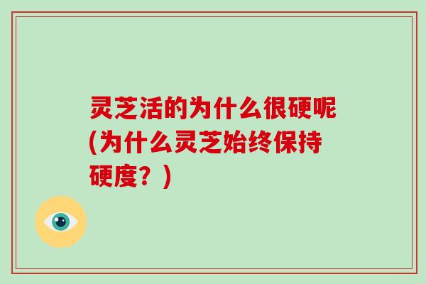 灵芝活的为什么很硬呢(为什么灵芝始终保持硬度?)