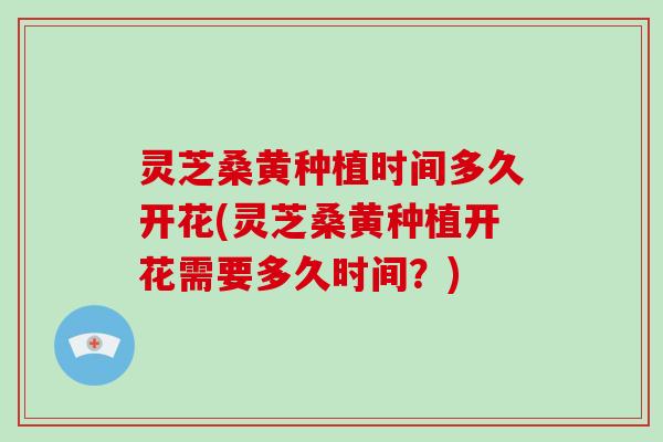 灵芝桑黄种植时间多久开花(灵芝桑黄种植开花需要多久时间?)