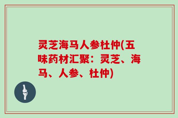 灵芝海马人参杜仲(五味药材汇聚：灵芝、海马、人参、杜仲)