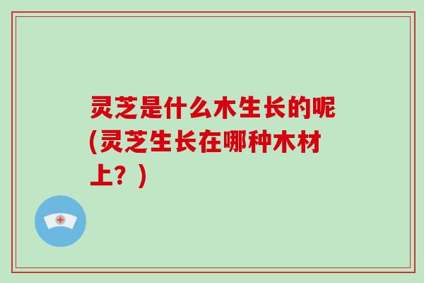 灵芝是什么木生长的呢(灵芝生长在哪种木材上？)