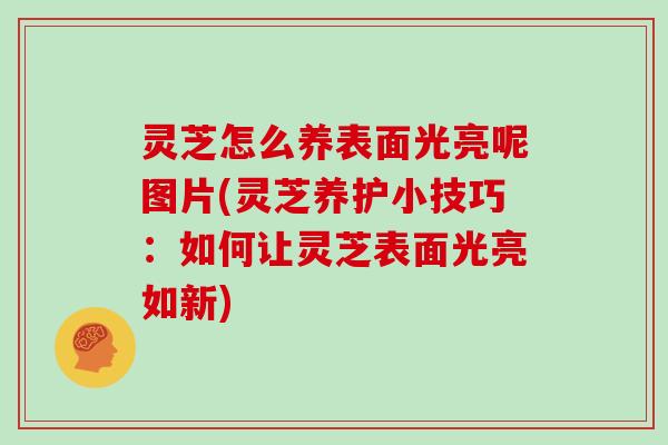 灵芝怎么养表面光亮呢图片(灵芝养护小技巧：如何让灵芝表面光亮如新)