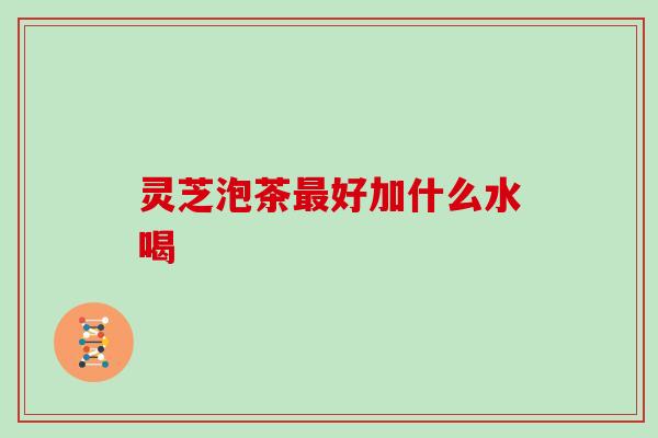 灵芝泡茶最好加什么水喝