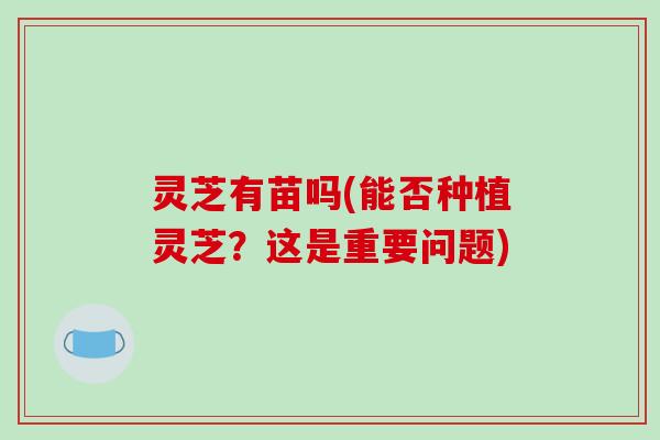 灵芝有苗吗(能否种植灵芝?这是重要问题)