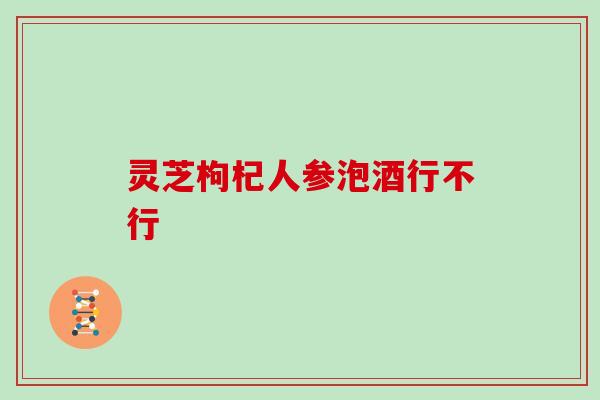 灵芝枸杞人参泡酒行不行