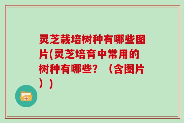 灵芝栽培树种有哪些图片(灵芝培育中常用的树种有哪些?(含图片))