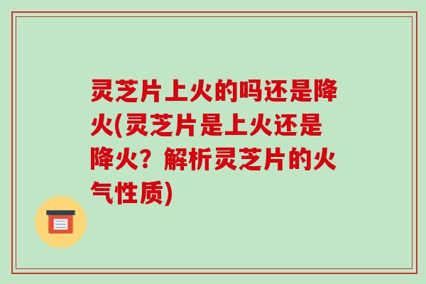 灵芝片上火的吗还是降火(灵芝片是上火还是降火？解析灵芝片的火气性质)