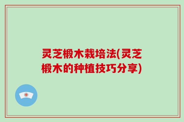 灵芝椴木栽培法(灵芝椴木的种植技巧分享)