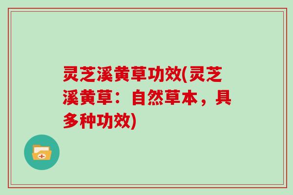 灵芝溪黄草功效(灵芝溪黄草:自然草本,具多种功效)
