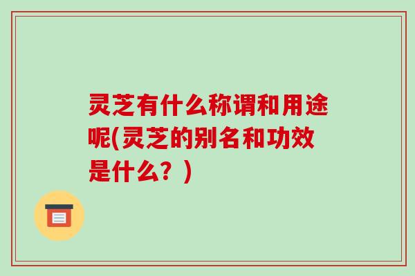 灵芝有什么称谓和用途呢(灵芝的别名和功效是什么？)