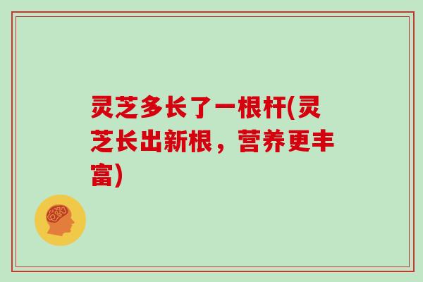灵芝多长了一根杆(灵芝长出新根,营养更丰富)