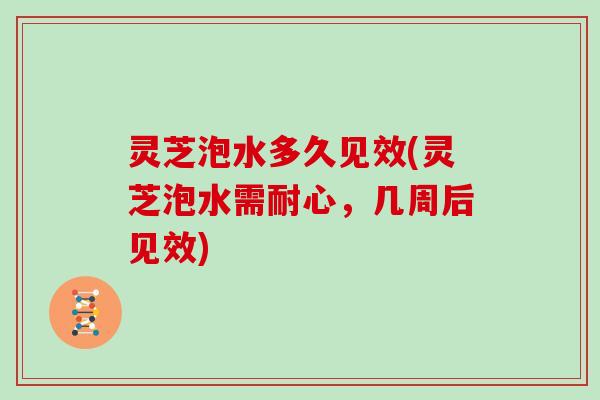 灵芝泡水多久见效(灵芝泡水需耐心，几周后见效)