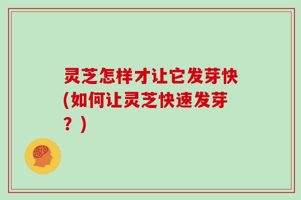 灵芝怎样才让它发芽快(如何让灵芝快速发芽?)