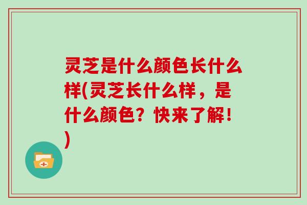灵芝是什么颜色长什么样(灵芝长什么样，是什么颜色？快来了解！)